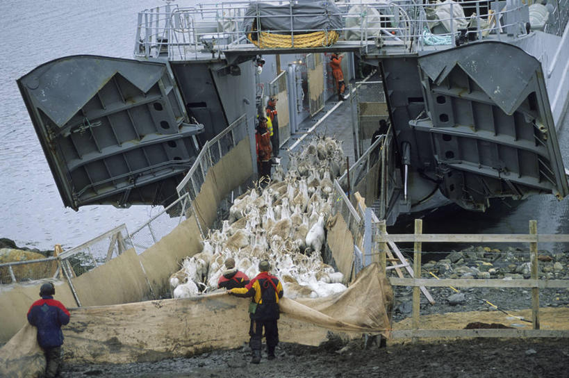 西方人,两个人,栏杆,站,横图,俯视,室外,白天,工作服,制服,幸福,河流,水,船,哺乳动物,鹿,野生动物,挪威,欧洲,欧洲人,一艘,许多,阴影,波纹,飞溅,溅,光线,木板,液体,影子,河水,水滴,水流,围栏,桥,捕虫网,木桥,很多,护栏,栈桥,水珠,工人,水纹,阳光,动物,船尾波,交通工具,波浪,站着,可爱,活泼,人行桥,木板桥,扫网,水网,吉祥,斯堪的纳维亚,喷洒,载具,北欧,斯堪的那维亚,斯堪的那维亚半岛,斯堪的纳维亚半岛,货船,进取,角鹿,扑网,工作制服,挪威王国,芬马克,芬马克郡,男人,男性,年轻男性,白种人,员工,驯鹿,站立,彩图,高角度拍摄,全身,工作套服,商船,匠人,劳动者,体力工