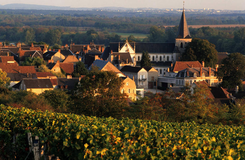 无人,家,果园,横图,室外,白天,正面,度假,草地,草坪,美景,日落,田园,植物,城市风光,城市,法国,欧洲,瓦片,房屋,屋顶,屋檐,屋子,景观,晚霞,霞光,落日,顶棚,娱乐,楼房,葡萄园,檐,架子,住宅,草,树,树木,绿色,天空,自然,黄昏,庄园,天,享受,休闲,景色,彩霞,放松,生长,成长,支撑,固定,勃艮第,西欧,法兰西,葡萄架,法兰西共和国,法兰西第五共和国,夕照,薄暮,勃艮第大区,涅夫勒省,夕阳,彩图,傍晚,房子,卢瓦尔河畔普伊,斜阳