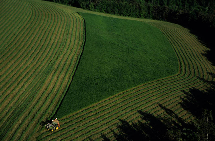 无人,家,农田,横图,俯视,航拍,室外,白天,旅游,度假,庄稼,农作物,草地,草坪,美景,植物,法国,欧洲,阴影,光线,影子,房屋,屋子,景观,娱乐,楼房,住宅,草,树,树木,绿色,阳光,自然,享受,休闲,景色,放松,生长,成长,勃艮第,西欧,鸟瞰,法兰西,自然风光,法兰西共和国,法兰西第五共和国,勃艮第大区,约讷省,彩图,高角度拍摄,耕地,庄稼田,房子,伊朗锡