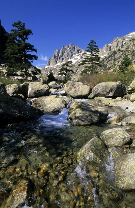 无人,竖图,室外,白天,正面,旅游,度假,草地,草坪,河流,石头,美景,山,山脉,水,峡谷,植物,法国,欧洲,阴影,光线,石子,影子,河水,景观,山峰,水流,山谷,山峦,娱乐,草,树,树木,蓝色,绿色,蓝天,天空,阳光,自然,群山,天,享受,休闲,景色,放松,生长,晴朗,成长,科西嘉,科西嘉岛,西欧,岩层,法兰西,自然风光,万里无云,法兰西共和国,法兰西第五共和国,科西嘉大区,石块,岩石,晴空,晴空万里,彩图,上科西嘉