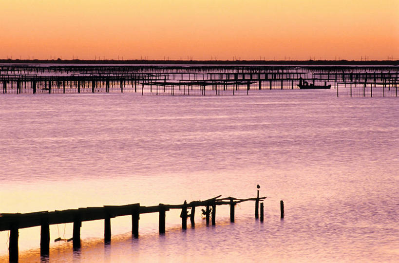无人,栏杆,横图,室外,白天,正面,旅游,度假,湖,湖泊,美景,日落,水,法国,欧洲,波纹,木板,湖面,景观,水流,水面,晚霞,霞光,落日,围栏,桥,木桥,背光,娱乐,护栏,栈桥,水纹,自然,黄昏,波浪,湖水,享受,休闲,景色,彩霞,放松,人行桥,木板桥,西欧,法兰西,自然风光,逆光,法兰西共和国,法兰西第五共和国,夕照,薄暮,埃罗,朗格多克.鲁西永,埃罗省,朗格多克.鲁西永大区,夕阳,彩图,傍晚,斜阳