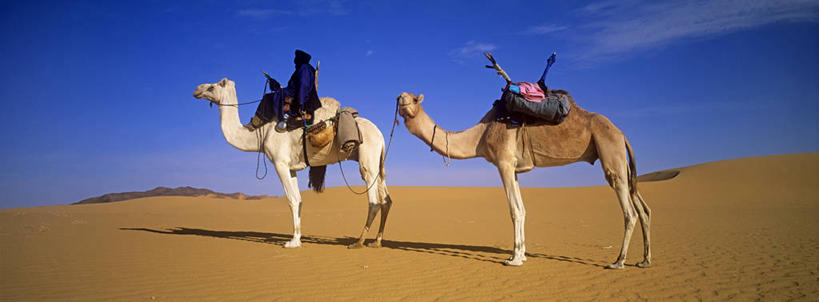 西方人,一个人,站,坐,横图,室外,白天,侧面,民族服装,旅游,度假,美景,沙漠,野生动物,欧洲,非洲,尼日尔,黑人,欧洲人,仅一个男性,仅一个人,阴影,光线,头巾,影子,景观,云,云朵,褐色,云彩,注视,娱乐,骆驼,座位,马鞍,仅一个年轻男性,蓝色,白云,蓝天,天空,阳光,自然,动物,绳子,天,观察,看,站着,两只,享受,休闲,景色,放松,运输,晴朗,观看,手柄,绳索,控制,察看,缰绳,关注,自然风光,沙漠之舟,单峰骆驼,尼日尔共和国,西非,马具,撒哈拉沙漠,撒哈拉大沙漠,男人,男性,年轻男性,非洲人,大漠,砂漠,晴空,站立,坐着,彩图,全身,传统服装,民俗服