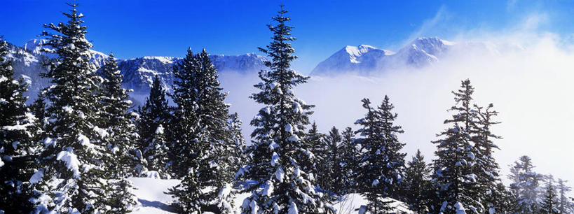 无人,横图,室外,白天,正面,旅游,度假,美景,山,树林,雪,雪山,植物,雾,大雪,法国,欧洲,阴影,朦胧,模糊,光线,影子,冰,积雪,景观,山峰,雪景,云,云朵,冬季,冬天,山峦,云彩,娱乐,树,树木,蓝色,绿色,白云,蓝天,天空,阳光,自然,天,享受,休闲,景色,放松,寒冷,生长,晴朗,成长,迷雾,冰冷,西欧,法兰西,自然风光,法兰西共和国,法兰西第五共和国,严寒,冰凉,酷寒,凛冽,凛凛,极冷,伊泽尔省,大雾,晴空,彩图,罗讷.阿尔卑斯,罗讷.阿尔卑斯大区