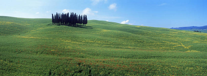 无人,农田,横图,全景,室外,白天,正面,旅游,度假,庄稼,农作物,小麦,草地,草坪,美景,树林,天际线,植物,意大利,欧洲,阴影,光线,影子,景观,云,云朵,谷物,麦田,云彩,娱乐,草,树,树木,蓝色,绿色,白云,蓝天,天空,阳光,自然,天,享受,休闲,景色,放松,麦子,生长,晴朗,成长,托斯卡纳,锡耶纳,南欧,自然风光,意大利共和国,托斯卡纳大区,晴空,彩图,耕地,庄稼田,阿米亚塔山,奥尔恰谷