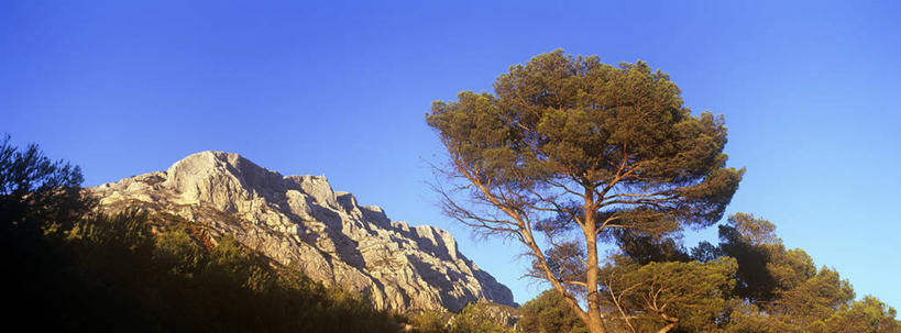 无人,横图,全景,室外,白天,仰视,旅游,度假,石头,美景,山,山脉,天际线,植物,法国,欧洲,阴影,光线,石子,影子,景观,山峰,山峦,娱乐,树,树木,蓝色,绿色,蓝天,天空,阳光,自然,群山,天,享受,休闲,景色,放松,生长,晴朗,成长,西欧,法兰西,自然风光,万里无云,法兰西共和国,法兰西第五共和国,普罗旺斯.阿尔卑斯.蓝色海岸,普罗旺斯.阿尔卑斯.蓝色海岸大区,罗讷河口省,罗讷河口,石块,岩石,晴空,晴空万里,彩图,低角度拍摄,圣维克多山