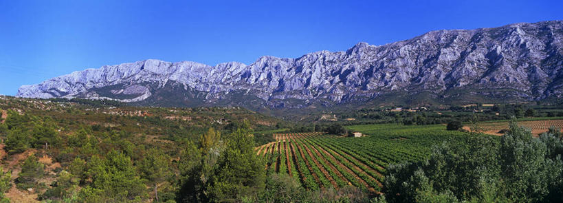 无人,家,果园,横图,全景,室外,白天,正面,旅游,度假,草地,草坪,石头,美景,山,山脉,树林,天际线,田园,植物,法国,欧洲,一排,阴影,整齐,并列,并排,光线,石子,影子,房屋,屋子,景观,山峰,山峦,娱乐,楼房,葡萄园,住宅,草,树,树木,排列,蓝色,绿色,蓝天,天空,阳光,自然,庄园,群山,天,享受,休闲,景色,放松,生长,晴朗,成长,西欧,队列,法兰西,自然风光,平行,万里无云,法兰西共和国,法兰西第五共和国,普罗旺斯.阿尔卑斯.蓝色海岸,普罗旺斯.阿尔卑斯.蓝色海岸大区,罗讷河口省,罗讷河口,石块,岩石,晴空,晴空万里,彩图,房子,圣维克多山