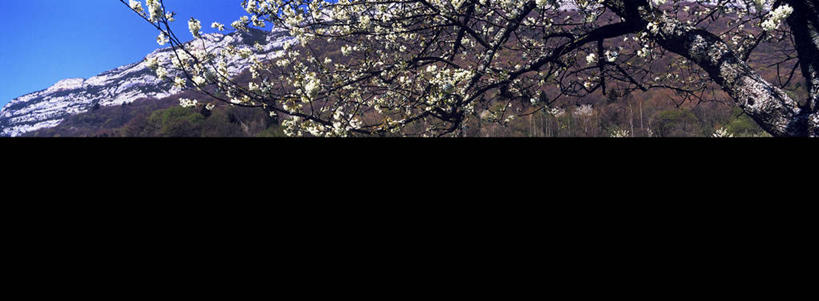 无人,横图,全景,室外,白天,正面,旅游,度假,草地,草坪,美景,山,山脉,天际线,植物,法国,欧洲,许多,阴影,盛开,光线,影子,景观,山峰,山峦,很多,花蕾,娱乐,草,花,花瓣,花朵,鲜花,树,树木,蓝色,绿色,白色,蓝天,天空,阳光,自然,群山,天,花苞,花蕊,享受,休闲,景色,放松,生长,晴朗,成长,西欧,法兰西,自然风光,万里无云,法兰西共和国,法兰西第五共和国,伊泽尔省,晴空,晴空万里,彩图,罗讷.阿尔卑斯,罗讷.阿尔卑斯大区