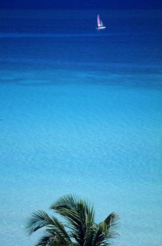 帆船,无人,竖图,俯视,室外,白天,旅游,度假,海浪,海洋,美景,植物,船,棕榈树,叶子,古巴,一艘,阴影,波纹,飞溅,溅,光线,液体,影子,景观,浪花,水滴,绿叶,首都,娱乐,水珠,树,树木,蓝色,绿色,水纹,阳光,自然,海水,船尾波,交通工具,波浪,享受,休闲,嫩叶,景色,放松,生长,成长,北美,北美洲,喷洒,自然风光,载具,美洲,海景,棕榈叶,哈瓦那,北亚美利加洲,亚美利加洲,古巴共和国,叶,叶片,大海,风浪,海,海水的波动,近岸浪,涌浪,棕树,棕榈,彩图,高角度拍摄,巴拉德罗,哈瓦那市,夏湾拿