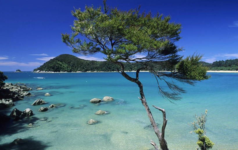 无人,公园,横图,室外,白天,正面,旅游,度假,岛屿,海浪,海洋,礁石,石头,美景,沙滩,植物,新西兰,阴影,光线,沙子,石子,影子,岛,海岸,景观,浪花,云,云朵,沙地,云彩,娱乐,树,树木,蓝色,绿色,白云,蓝天,天空,阳光,自然,海水,天,享受,休闲,景色,放松,生长,晴朗,成长,国家公园,自然风光,大洋洲,海景,纽西兰,长白云之乡,阿贝尔.塔斯曼国家公园,艾贝尔塔斯曼国家公园,新西兰南岛,亚伯塔斯曼国家公园,大海,风浪,海,海水的波动,海滩,礁,近岸浪,列岛,群岛,石块,岩石,涌浪,诸岛,晴空,彩图