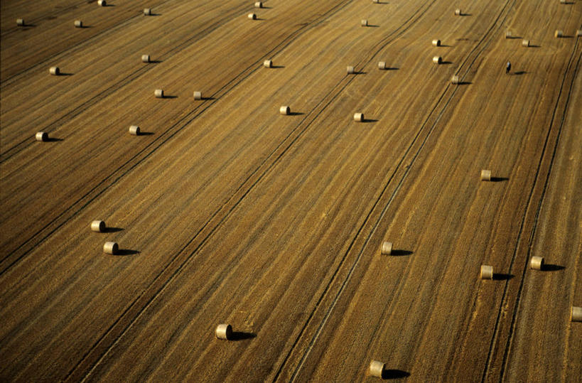 无人,农田,横图,俯视,航拍,室外,白天,旅游,度假,庄稼,农作物,小麦,美景,法国,欧洲,一排,许多,阴影,整齐,并列,并排,光线,影子,景观,谷物,褐色,干草,很多,麦田,娱乐,排列,阳光,自然,草垛,享受,休闲,景色,放松,麦子,勃艮第,西欧,鸟瞰,队列,法兰西,自然风光,平行,法兰西共和国,法兰西第五共和国,勃艮第大区,科多尔省,干草垛,彩图,高角度拍摄,耕地,庄稼田