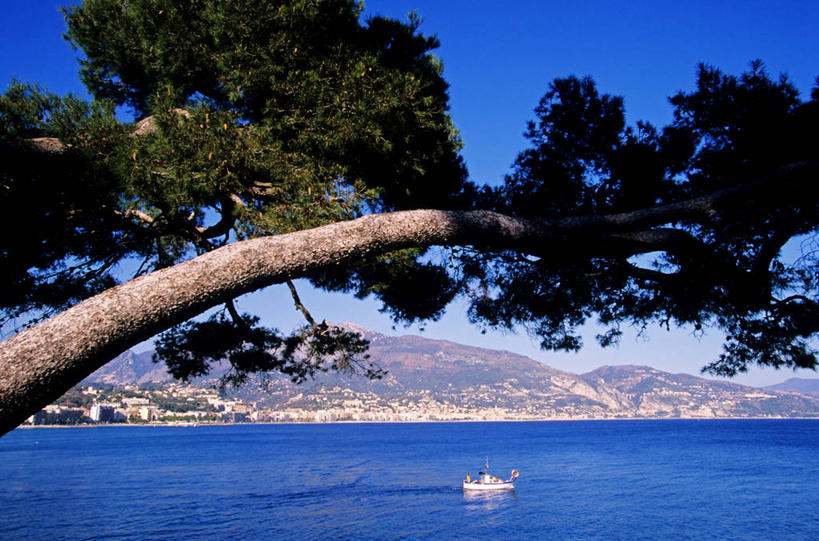 无人,横图,室外,白天,正面,旅游,度假,海浪,海洋,美景,山,山脉,植物,轮船,船,法国,欧洲,一艘,阴影,波纹,飞溅,溅,光线,液体,影子,景观,浪花,山峰,水滴,枝条,山峦,娱乐,水珠,树,树木,树枝,蓝色,绿色,蓝天,水纹,天空,阳光,自然,海水,船尾波,交通工具,波浪,群山,天,享受,休闲,景色,放松,生长,晴朗,成长,西欧,喷洒,法兰西,自然风光,载具,海景,滨海阿尔卑斯,万里无云,法兰西共和国,法兰西第五共和国,虬枝,枝杈,普罗旺斯.阿尔卑斯.蓝色海岸,普罗旺斯.阿尔卑斯.蓝色海岸大区,滨海阿尔卑斯省,大海,风浪,海,海水的波动,近岸浪,涌浪,晴空,晴空万里,彩图,芒通