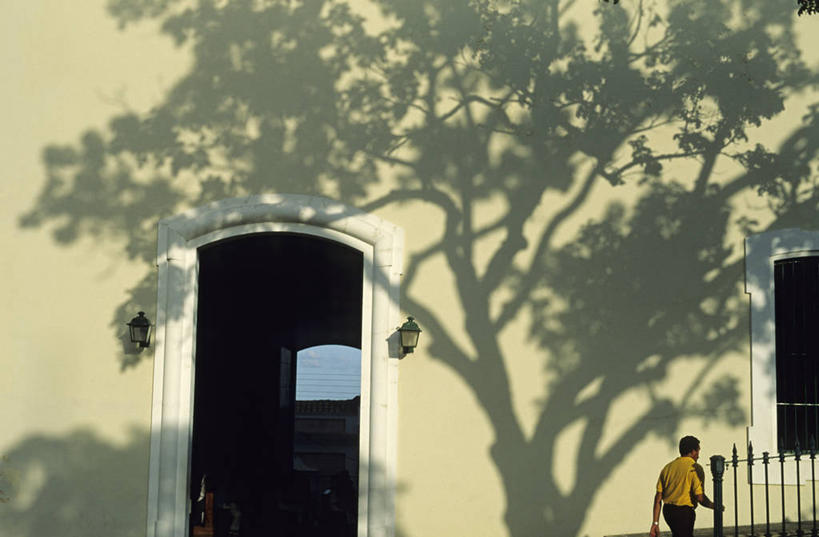 西方人,一个人,家,栏杆,走,横图,室外,白天,度假,美景,门,城市风光,城市,欧洲,委内瑞拉,欧洲人,仅一个男性,仅一个人,行人,阴影,服装,光线,影子,房屋,墙,屋子,景观,围栏,休闲装,娱乐,护栏,楼房,路人,墙壁,墙面,住宅,仅一个年轻男性,背面,衣服,白色,阳光,门框,享受,休闲,休闲服,景色,南美,放松,服饰,南美洲,拉丁美洲,美洲,首府,亚美利加洲,南亚美利加洲,委内瑞拉玻利瓦尔共和国,过客,玻利瓦尔,男人,男性,年轻男性,白种人,步行,散步,走路,半身,彩图,房子,玻利瓦尔城