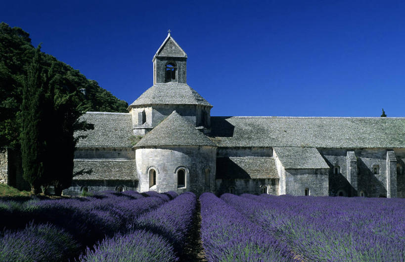 无人,横图,室外,白天,正面,爱情,旅游,度假,草地,草坪,花海,花圃,名胜古迹,植物,标志建筑,地标,建筑,叶子,法国,欧洲,一排,许多,阴影,节日,遗迹,整齐,并列,并排,盛开,光线,瓦片,影子,墙,屋顶,屋檐,很多,浪漫,花蕾,顶棚,古迹,文化,文物,娱乐,建设,古建筑,檐,墙壁,墙面,草,花,花瓣,花朵,花卉,鲜花,树,树木,排列,蓝色,绿色,紫色,灰色,蓝天,天空,阳光,自然,香草,花丛,花束,花田,天,花苞,花蕊,薰衣草,祈祷,享受,休闲,健康,旅游胜地,放松,许愿,宗教,信仰,生长,晴朗,成长,纪念,祈求,基督教,西欧,沃克吕兹省,队列,天主教,法兰西,修道院,呼吸,平行,信念,古文明,万里无云,法兰西共和国,灵香草,黄香草,法兰西第五共和国,奇迹,普罗旺斯.阿尔卑斯.蓝色海岸,普罗旺斯.阿尔卑斯.蓝色海岸大区,神学院,修院,隐修院,塞南克修道院,塞农克修道院,平安,晴空,晴空万里,彩图