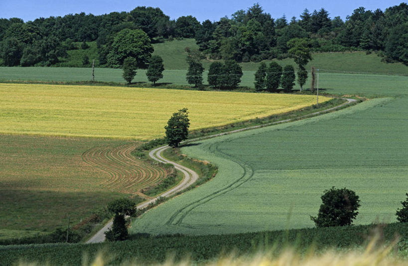 无人,横图,俯视,航拍,室外,白天,旅游,度假,草地,草坪,美景,植物,道路,路,法国,欧洲,阴影,曲折,弯曲,光线,影子,景观,小路,交通,娱乐,草,树,树木,蓝色,绿色,蓝天,天空,阳光,自然,天,享受,休闲,景色,放松,蜿蜒,生长,晴朗,成长,布列塔尼,西欧,鸟瞰,法兰西,自然风光,万里无云,法兰西共和国,法兰西第五共和国,布列塔尼地区,阿摩尔滨海省,晴空,晴空万里,彩图,高角度拍摄