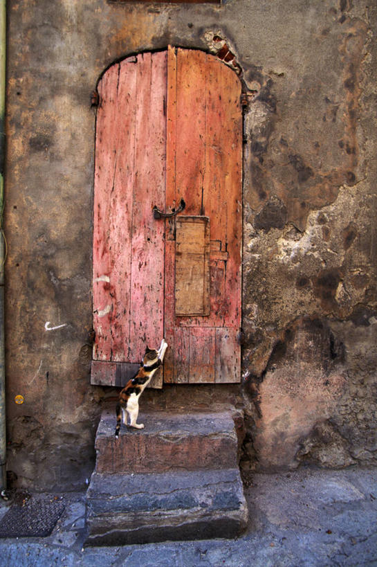 无人,坐,竖图,室外,白天,正面,楼梯,门,宠物,猫,法国,欧洲,阴影,光线,影子,阶梯,墙,注视,墙壁,墙面,台阶,一只,灰色,阳光,动物,门框,观察,看,可爱,观看,察看,科西嘉,科西嘉岛,西欧,关注,法兰西,猫咪,法兰西共和国,法兰西第五共和国,巴斯蒂亚,科西嘉大区,坐着,彩图,全身