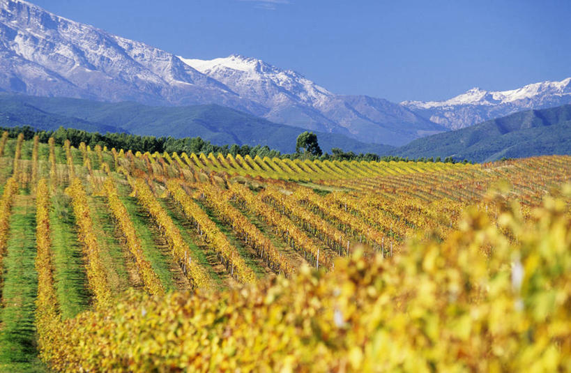 无人,果园,横图,室外,白天,正面,旅游,度假,石头,美景,秋季,山,山脉,田园,植物,叶子,法国,欧洲,阴影,光线,石子,影子,景观,山峰,枯叶,落叶,山峦,娱乐,葡萄园,架子,树,树木,蓝色,绿色,蓝天,天空,阳光,自然,庄园,群山,天,享受,休闲,景色,放松,生长,晴朗,成长,支撑,固定,科西嘉,科西嘉岛,西欧,法兰西,自然风光,葡萄架,万里无云,法兰西共和国,法兰西第五共和国,科西嘉大区,叶,叶片,石块,岩石,晴空,晴空万里,秋,秋天,彩图,上科西嘉