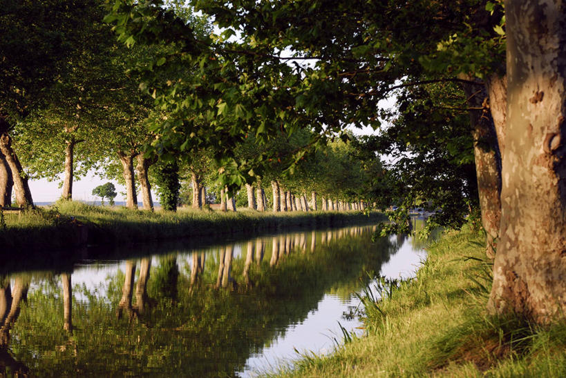 无人,横图,室外,白天,正面,旅游,度假,草地,草坪,河流,美景,树林,水,植物,法国,欧洲,一排,波纹,整齐,并列,并排,河水,景观,水流,涟漪,娱乐,草,树,树木,排列,绿色,倒影,水纹,自然,波浪,享受,休闲,景色,放松,生长,成长,倒映,西欧,队列,法兰西,自然风光,平行,法兰西共和国,水晕,法兰西第五共和国,反照,朗格多克.鲁西永,朗格多克.鲁西永大区,奥德省,彩图