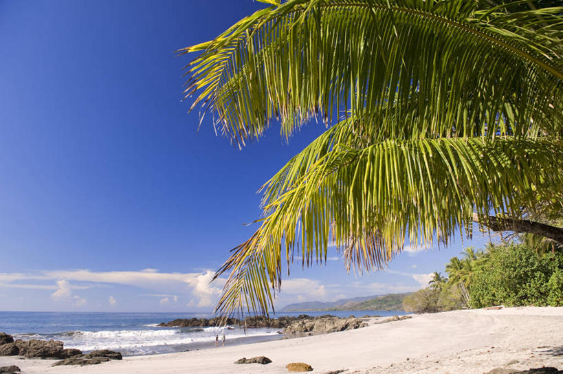 无人,横图,室外,白天,正面,旅游,度假,海浪,海洋,美景,沙滩,植物,棕榈树,叶子,哥斯达黎加,阴影,光线,沙子,影子,海岸,景观,浪花,水平线,云,云朵,辽阔,绿叶,海平线,沙地,云彩,娱乐,树,树木,蓝色,绿色,白云,蓝天,天空,阳光,自然,海水,天,享受,休闲,广阔,嫩叶,景色,放松,生长,晴朗,成长,一望无际,北美,北美洲,自然风光,美洲,海景,棕榈叶,北亚美利加洲,亚美利加洲,哥斯达黎加共和国,无边无际,一马平川,彭塔雷纳斯省,叶,叶片,大海,风浪,海,海水的波动,海滩,近岸浪,涌浪,晴空,棕树,棕榈,彩图,水天相接,水天一线