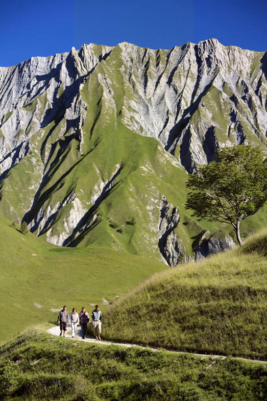 无人,竖图,室外,白天,正面,旅游,度假,草地,草坪,石头,美景,山,山脉,树林,植物,法国,欧洲,阴影,光线,石子,影子,景观,山顶,山峰,山峦,娱乐,草,树,树木,蓝色,绿色,蓝天,天空,阳光,自然,群山,天,享受,休闲,景色,放松,生长,晴朗,成长,西欧,法兰西,自然风光,万里无云,法兰西共和国,法兰西第五共和国,颠峰,极峰,萨瓦省,石块,岩石,晴空,晴空万里,彩图,罗讷.阿尔卑斯,罗讷.阿尔卑斯大区