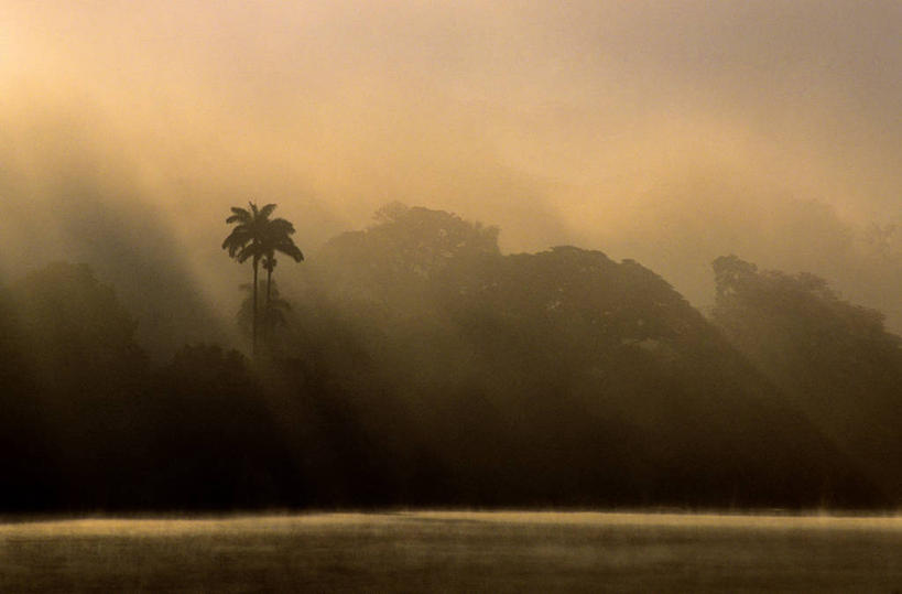 无人,横图,室外,白天,正面,旅游,度假,湖,湖泊,美景,日落,水,植物,棕榈树,叶子,斯里兰卡,亚洲,波纹,湖面,景观,水流,水面,晚霞,霞光,落日,绿叶,涟漪,背光,娱乐,树,树木,绿色,倒影,水纹,自然,黄昏,波浪,湖水,享受,休闲,嫩叶,景色,彩霞,放松,生长,成长,倒映,自然风光,南亚,逆光,棕榈叶,水晕,斯里兰卡民主社会主义共和国,夕照,反照,薄暮,康提,康提古城,马哈努沃勒,叶,叶片,夕阳,棕树,棕榈,彩图,傍晚,斜阳