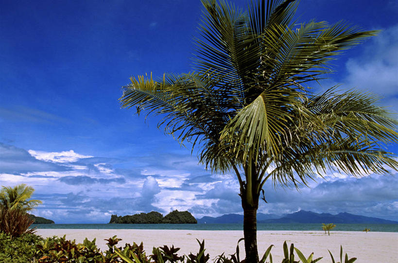 无人,横图,室外,白天,正面,旅游,度假,海浪,海洋,美景,沙滩,植物,棕榈树,叶子,马来西亚,亚洲,阴影,光线,沙子,影子,海岸,景观,浪花,云,云朵,绿叶,沙地,云彩,娱乐,树,树木,蓝色,绿色,白云,蓝天,天空,阳光,自然,海水,天,享受,休闲,嫩叶,景色,放松,东南亚,生长,晴朗,成长,自然风光,海景,棕榈叶,马来西亚联邦,浮罗交怡岛,吉打州,叶,叶片,大海,风浪,海,海水的波动,海滩,近岸浪,涌浪,晴空,棕树,棕榈,彩图