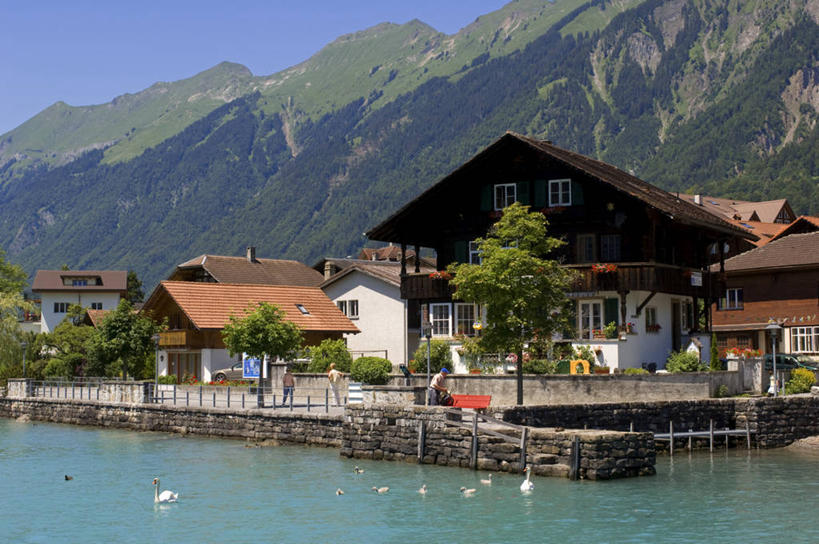 游泳,无人,家,木屋,横图,室外,白天,正面,旅游,度假,湖,湖泊,石头,美景,山,山脉,水,植物,鸟,野生动物,天鹅,瑞士,欧洲,一群,许多,阴影,波纹,光线,鸟类,石子,影子,湖面,景观,山峰,水流,水面,涟漪,山峦,首都,很多,娱乐,伯尔尼,住宅,树,树木,蓝色,绿色,倒影,蓝天,水纹,天空,阳光,自然,动物,波浪,湖水,群山,天,享受,休闲,景色,放松,可爱,生长,晴朗,成长,倒映,自然风光,中欧,万里无云,水晕,瑞士联邦,泅水,伯尔尼州,反照,拍浮,因特拉肯,石块,岩石,晴空,晴空万里,鹄,彩图,全身,茅舍,茅屋,棚屋,小木屋,小屋,布里恩茨,布里恩茨湖