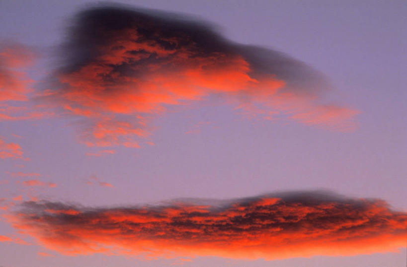 无人,横图,室外,特写,白天,仰视,美景,日落,法国,欧洲,景观,晚霞,霞光,落日,自然,黄昏,景色,彩霞,西欧,法兰西,自然风光,法兰西共和国,卢瓦尔河地区,法兰西第五共和国,夕照,薄暮,卢瓦尔,卢瓦尔大区,卢瓦尔河大区,旺代省,夕阳,彩图,低角度拍摄,傍晚,斜阳