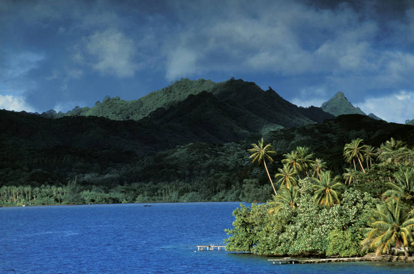 无人,横图,室外,白天,正面,旅游,度假,岛屿,海浪,海洋,美景,山,山脉,树林,植物,棕榈树,叶子,阴影,光线,影子,岛,景观,浪花,山峰,云,云朵,绿叶,山峦,云彩,娱乐,树,树木,蓝色,绿色,白云,蓝天,天空,阳光,自然,海水,群山,天,享受,休闲,嫩叶,景色,放松,生长,晴朗,成长,自然风光,大洋洲,海景,棕榈叶,法属波利尼西亚,社会群岛,法属玻利尼西亚,背风群岛,叶,叶片,大海,风浪,海,海水的波动,近岸浪,列岛,群岛,涌浪,诸岛,晴空,棕树,棕榈,彩图,塔哈岛