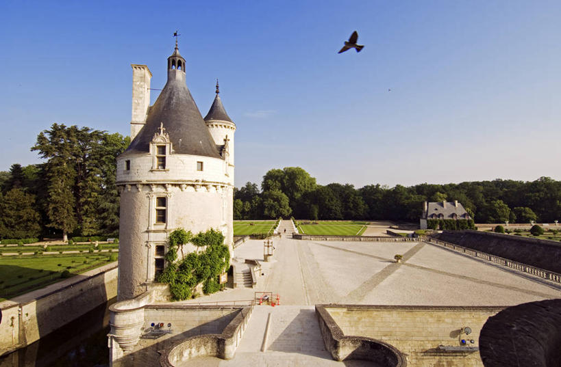 无人,家,横图,室外,白天,正面,旅游,度假,草地,草坪,名胜古迹,植物,标志建筑,地标,建筑,鸟,法国,欧洲,飞翔,伸展,张开,展翅,阴影,遗迹,飞行,光线,翅膀,鸟类,影子,堡垒,城堡,房屋,屋子,公寓,翱翔,古迹,文物,娱乐,建设,飞,古建筑,洋房,楼房,住宅,草,树,树木,一只,蓝色,绿色,蓝天,天空,阳光,自然,天,享受,休闲,旅游胜地,放松,生长,晴朗,成长,西欧,要塞,法兰西,古文明,张开翅膀,万里无云,法兰西共和国,法兰西第五共和国,展开翅膀,设防,安德尔.卢瓦尔省,中央大区,昂布瓦斯,舍农索城堡,雪侬梭城堡,晴空,晴空万里,彩图,全身,房子