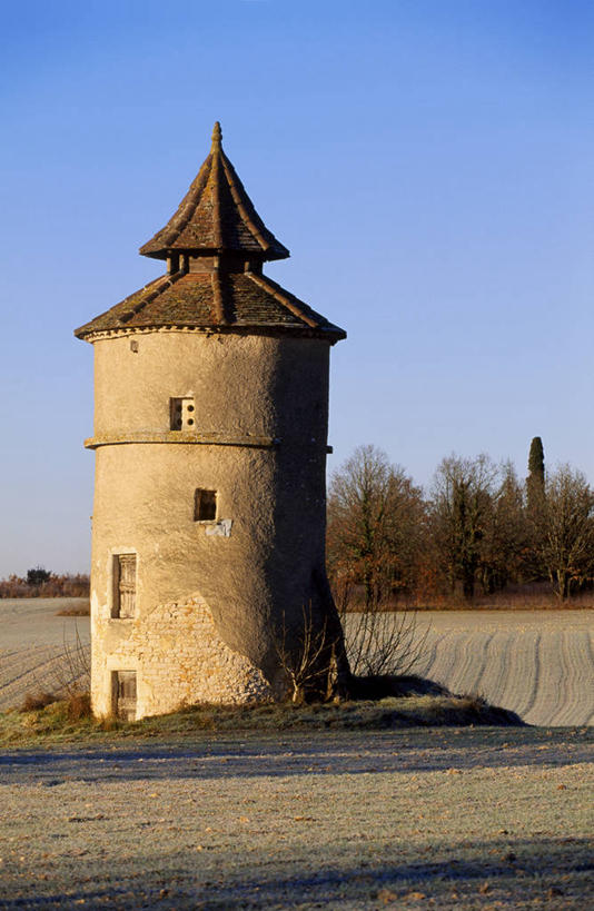 无人,农场,竖图,室外,白天,正面,旅游,度假,畜牧业,牧场,美景,树林,植物,法国,欧洲,阴影,光线,影子,景观,冬季,冬天,枝条,娱乐,树,树木,树枝,蓝色,绿色,蓝天,天空,阳光,自然,天,享受,休闲,景色,放松,生长,晴朗,成长,西欧,法兰西,自然风光,畜牧,万里无云,法兰西共和国,首府,牧业,法兰西第五共和国,冬日,虬枝,枝杈,南部.比利牛斯,洛特省,南部.比利牛斯大区,卡奥尔,晴空,晴空万里,彩图,拉尔邦屈埃