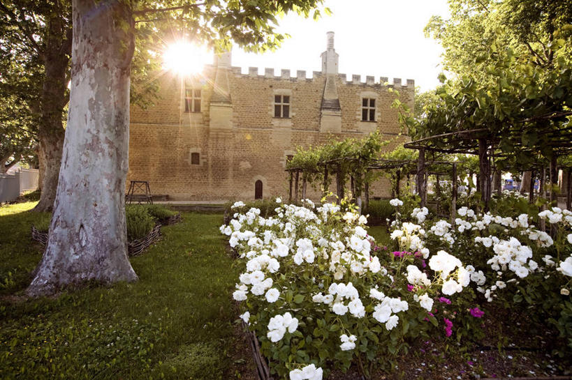 无人,横图,室外,白天,正面,旅游,度假,草地,草坪,花海,花圃,名胜古迹,树林,太阳,植物,标志建筑,地标,建筑,叶子,法国,欧洲,阴影,遗迹,盛开,光线,影子,堡垒,城堡,花蕾,古迹,文物,娱乐,建设,古建筑,草,花,花瓣,花朵,花卉,鲜花,树,树木,绿色,天空,阳光,自然,花丛,花束,花田,天,花苞,花蕊,享受,休闲,旅游胜地,放松,生长,成长,西欧,沃克吕兹省,要塞,法兰西,古文明,阿维尼翁,法兰西共和国,法兰西第五共和国,普罗旺斯.阿尔卑斯.蓝色海岸,普罗旺斯.阿尔卑斯.蓝色海岸大区,设防,彩图,莱蓬特