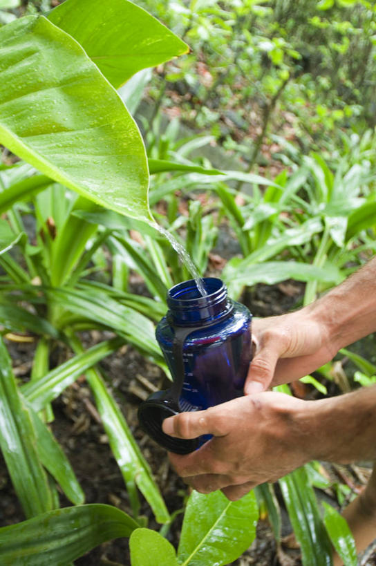 西方人,手,一个人,竖图,室外,白天,侧面,草地,草坪,美景,水,植物,叶子,欧洲,日本,欧洲人,亚洲,仅一个男性,仅一个人,握,阴影,光线,纹理,液体,影子,景观,绿叶,拿,拿着,饮用水,草,树,树木,仅一个年轻男性,蓝色,绿色,阳光,自然,瓶子,塑料制品,矿泉水,手部,嫩叶,塑料瓶,景色,握着,大阪,生长,成长,自然风光,蒸馏水,东亚,本州,肌理,大阪府,本州岛,日本国,近畿地方,近畿,堺,堺市,男人,男性,年轻男性,白种人,叶,叶片,叶脉,半身,彩图