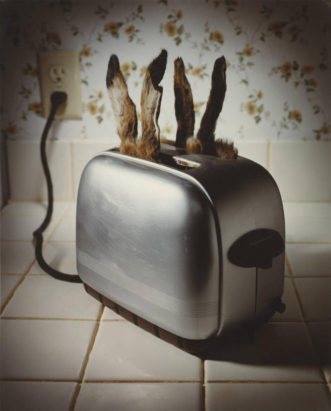 无人,竖图,室内,特写,白天,正面,壁纸,哺乳动物,兔子,瓷砖,地砖,电器,墙,插座,地面,烤面包机,饮食,墙壁,墙面,动物,兔,家电,家用电器,插线板,拖线板,多士炉,自动面包片烤炉,面包烘烤器,烘培,电源转换器,排插,墙纸,半身,彩图,烘烤