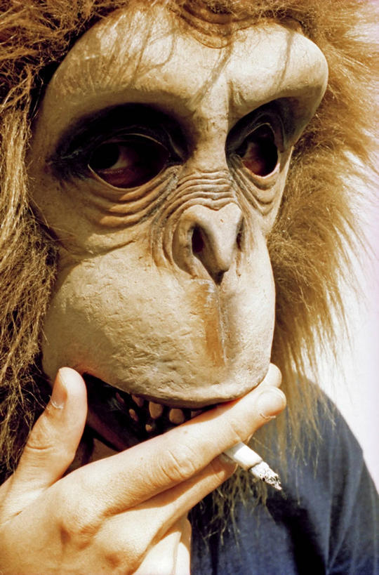 西方人,脸,头,脸颊,手,一个人,站,吸烟,竖图,俯视,室外,特写,白天,猩猩,香烟,欧洲,欧洲人,仅一个男性,仅一个人,仅一个中年男性,握,服装,朦胧,模糊,装饰,面具,墙,拿,拿着,注视,休闲装,肩膀,墙壁,墙面,衣服,白色,观察,看,站着,休闲,手部,休闲服,烟,握着,服饰,观看,单手,华丽,修饰,点缀,察看,关注,大猩猩,伪装,衬托,美观,雅致,雅观,金刚猩猩,假装,男人,男性,中年男性,白种人,头部,脸部,脸蛋,面部,卷烟,烟草,纸烟,抽烟,站立,半身,彩图,高角度拍摄