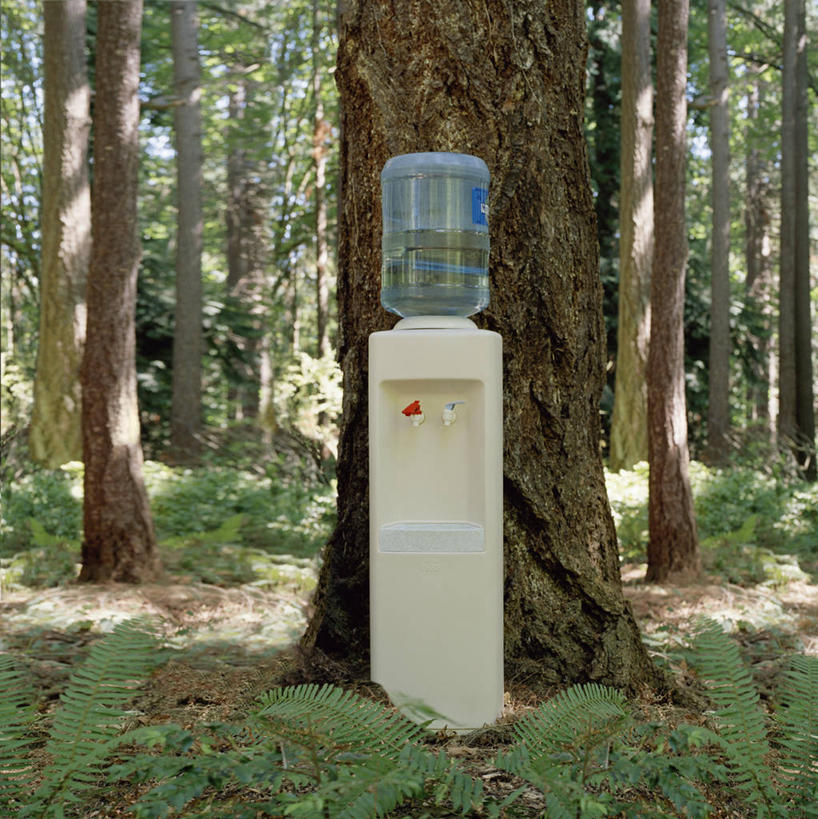 无人,竖图,室外,白天,正面,森林,树林,水,植物,阴影,光线,水龙头,水桶,桶,液体,影子,饮用水,开关,树,树木,绿色,阳光,自然,容器,矿泉水,打开,生长,成长,储藏,阀门,开启,饮水机,储存,蒸馏水,水咀,彩图,贮存