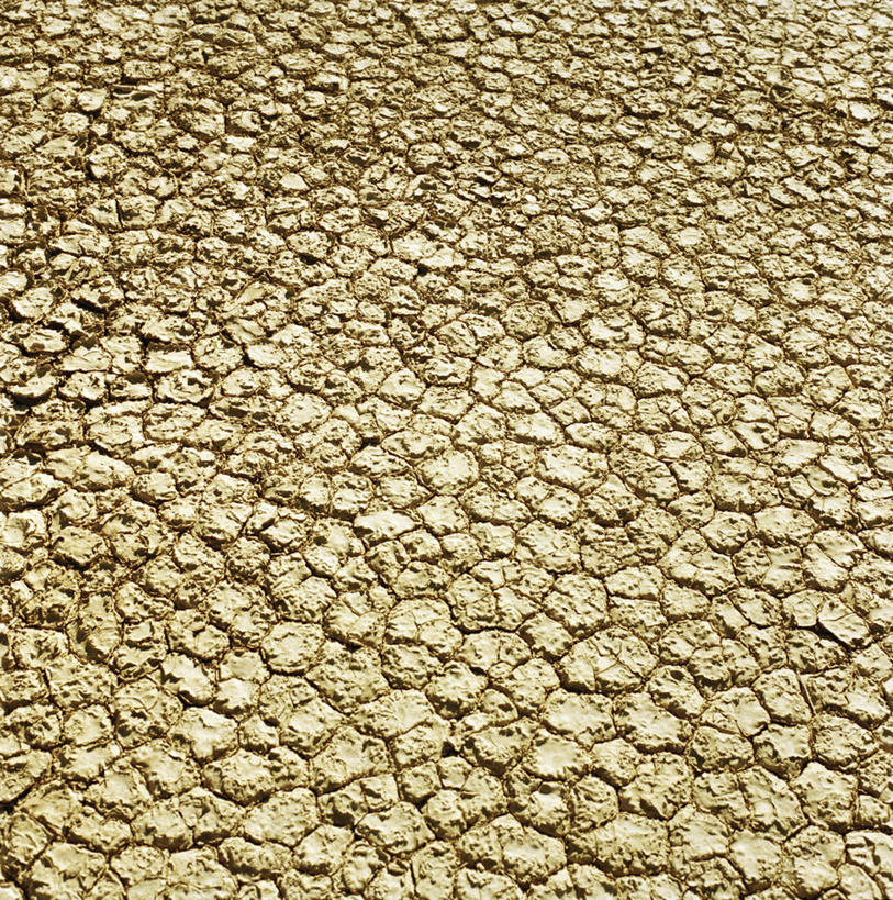 无人,竖图,俯视,室外,白天,阴影,缝隙,裂缝,裂痕,光线,纹路,纹理,影子,泥土,土壤,阳光,肌理,彩图,高角度拍摄