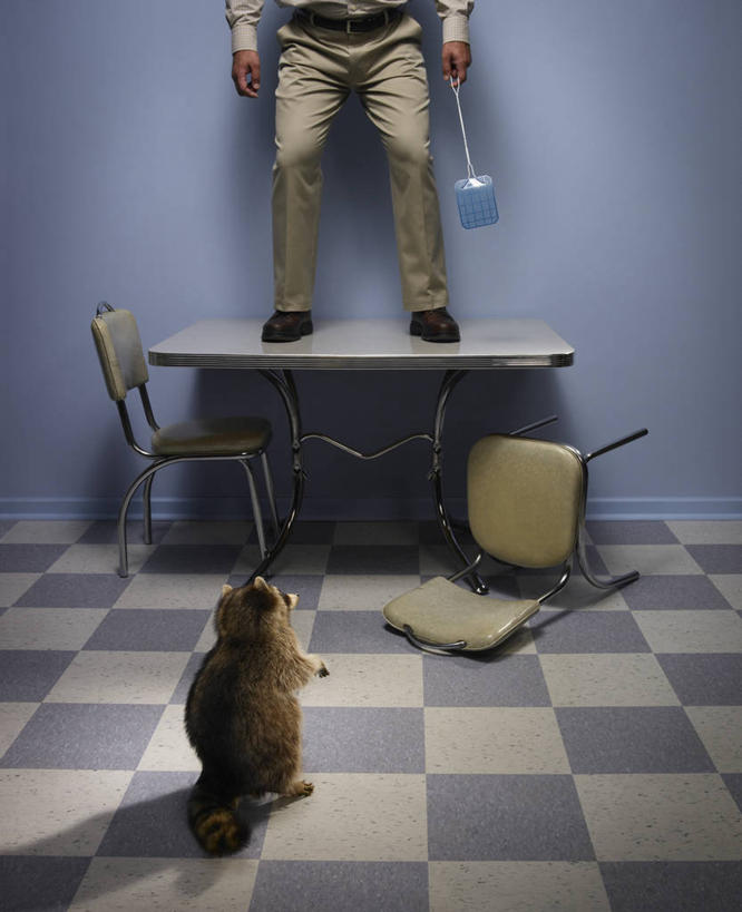 西方人,一个人,站,竖图,室内,白天,正面,桌面,桌子,野生动物,椅子,欧洲,欧洲人,仅一个男性,仅一个人,仅一个中年男性,握,阴影,服装,光线,木制,影子,木椅,墙,灯光,拿,拿着,休闲装,墙壁,墙面,一只,衣服,动物,木制品,站着,休闲,休闲服,可爱,握着,服饰,活泼,张开双腿,浣熊,苍蝇拍,白鼻豿,展开双腿,男人,男性,中年男性,白种人,站立,半身,彩图,伸展双腿