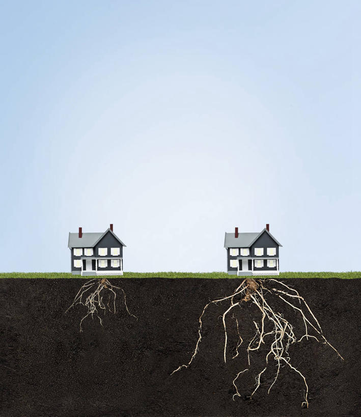 无人,家,竖图,室外,白天,正面,窗户,门,阴影,光线,影子,房屋,墙,屋子,泥土,土壤,根须,楼房,玻璃窗,墙壁,墙面,住宅,两个,蓝色,蓝天,天空,阳光,门框,天,生长,晴朗,成长,发展,万里无云,晴空,晴空万里,彩图,房子