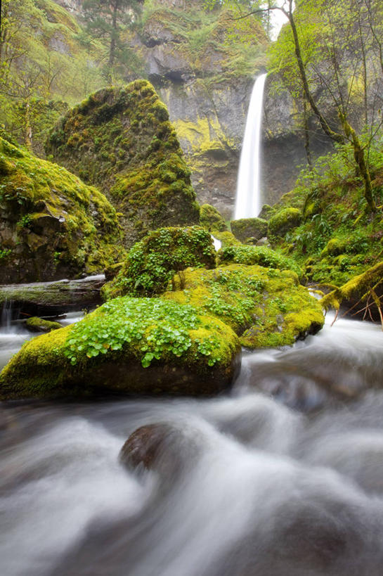 无人,竖图,室外,白天,仰视,美景,瀑布,森林,美国,蒸汽,景观,流水,风景,自然,景色,摄影,宁静,自然风光,俄勒冈州,波特兰,哥伦比亚河谷,岩石,彩图,低角度拍摄
