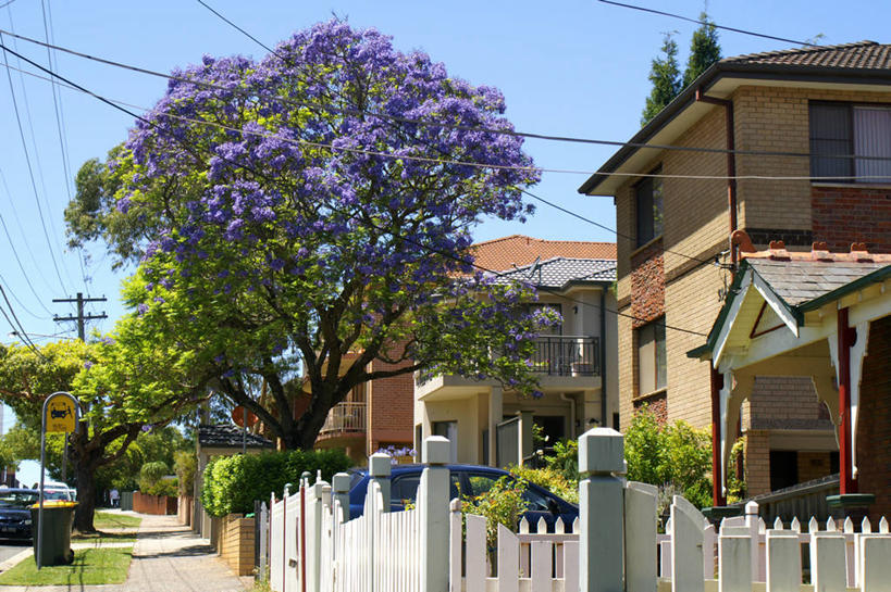 无人,横图,室外,白天,建筑,街道,澳大利亚,房屋,篱笆,摄影,生活方式,宁静,悉尼,彩图,居住区