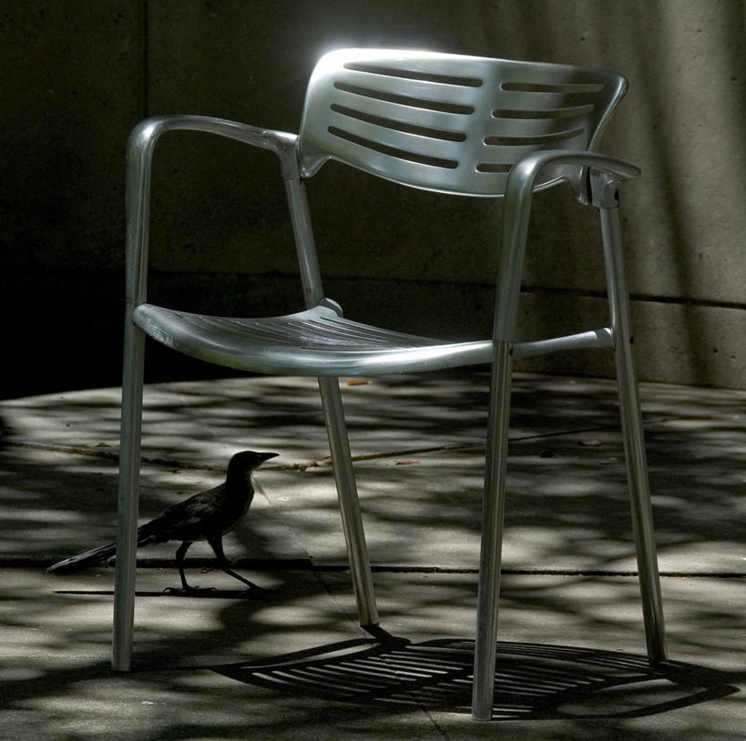 无人,横图,室外,白天,神秘,城市,野生动物,椅子,日光,美国,阴影,自然,摄影,剪影,德克萨斯,达拉斯市,嘲鸫