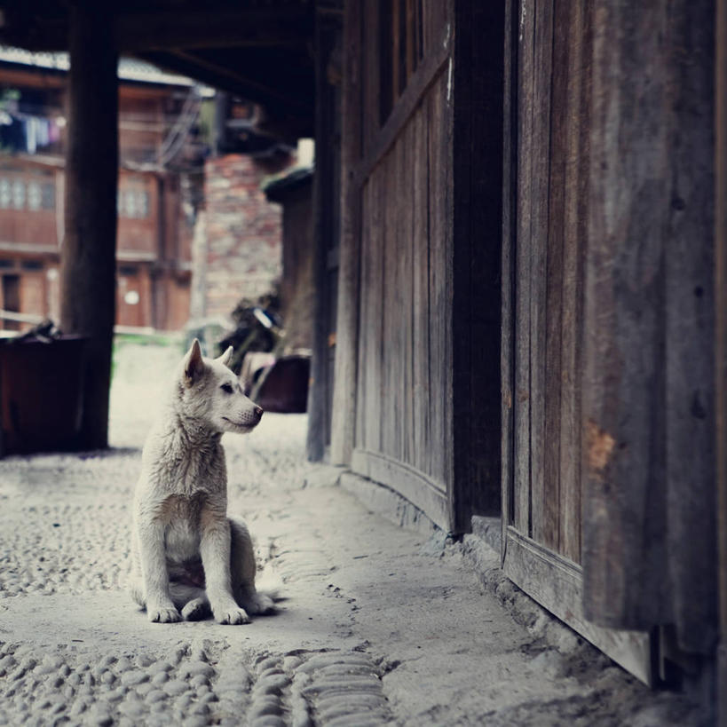 无人,坐,方图,室外,白天,寂寞,宠物,废弃,摄影,广西,报废,废物,丢弃,等,放弃,抛弃,悲哀,摈弃,彩图,屏弃,摈斥,摒除,流浪动物