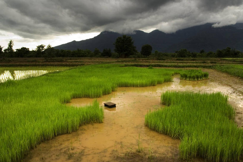 无人,横图,室外,白天,农业,美景,山脉,水,雨,暴雨,老挝,稻田,景观,田地,乌云,风景,自然,景色,摄影,宁静,自然风光,彩图,巴塞,景观设计,季候风