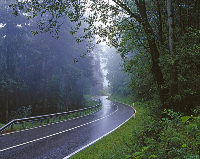 无人,横图,室外,白天,风险,森林,雨,奥地利,湿,弯曲,地形,分界线,交通,摄影,宁静,彩图