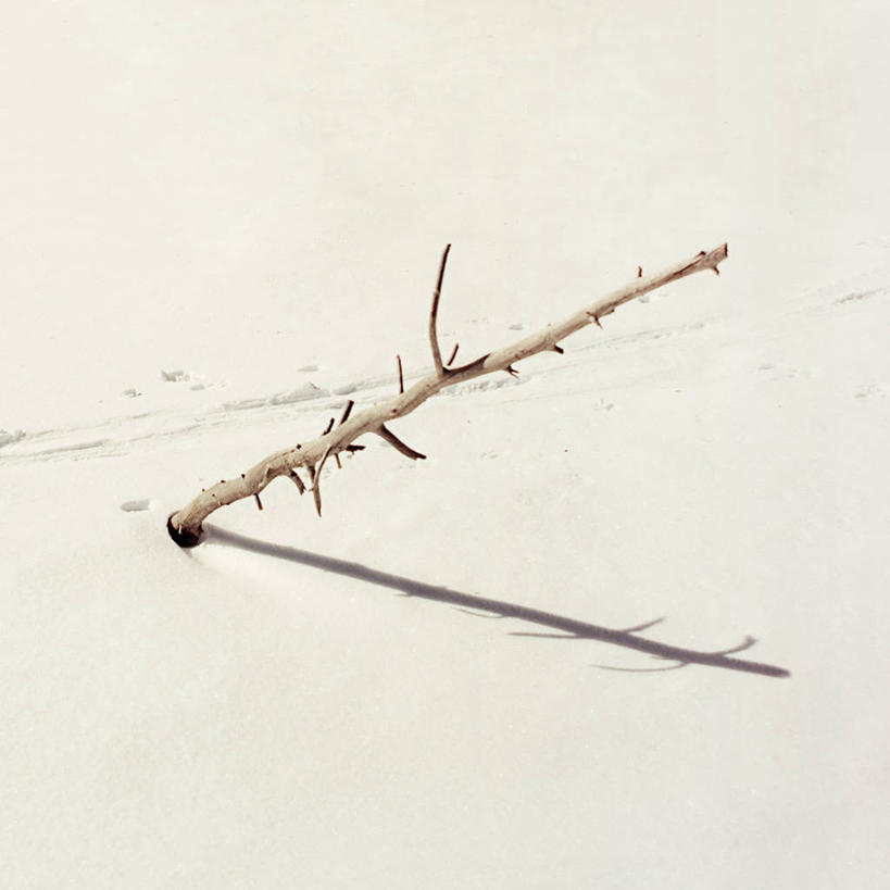 无人,方图,室外,白天,雪,日光,西班牙,阴影,枝,自然,寒冷,摄影,彩图,独处