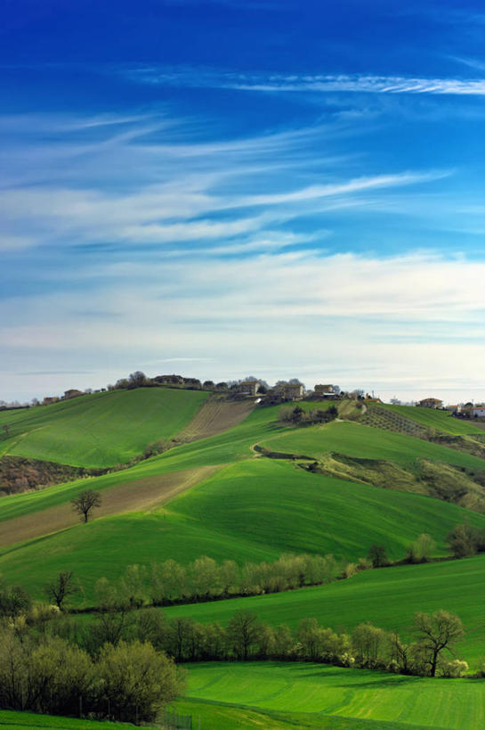 无人,竖图,室外,白天,留白,山,意大利,地平线,田地,辽阔,地面,树,风景,春天,夏天,广阔,摄影,宁静,一望无际,延伸,天地相交,无边无际,一马平川,安科纳,彩图