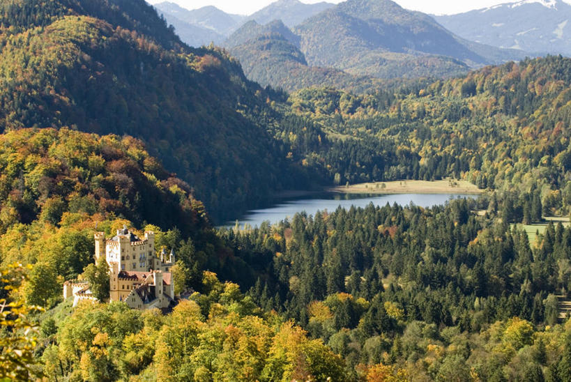 无人,横图,俯视,室外,白天,湖,森林,山,德国,城堡,地形,风景,自然,摄影,宁静,德国文化,巴伐利亚,旧天鹅堡,彩图,高角度拍摄