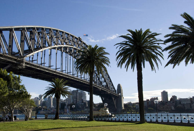 无人,横图,室外,白天,草坪,城市,建筑,棕榈树,澳大利亚,钢铁,拱桥,天空,摄影,悉尼,新南威尔士,彩图,悉尼港桥