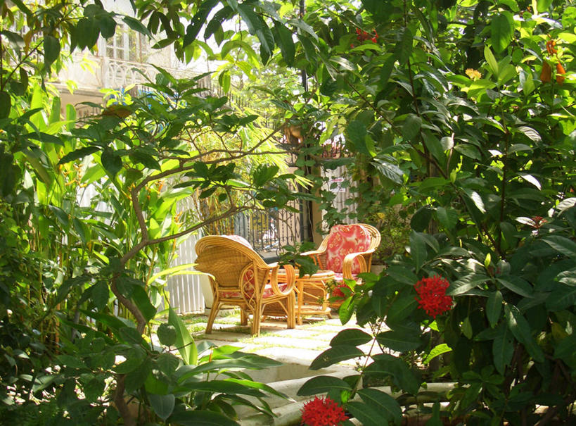 无人,横图,室外,白天,越南,庭院,首都,树,放松,摄影,灌木,宁静,河内,彩图