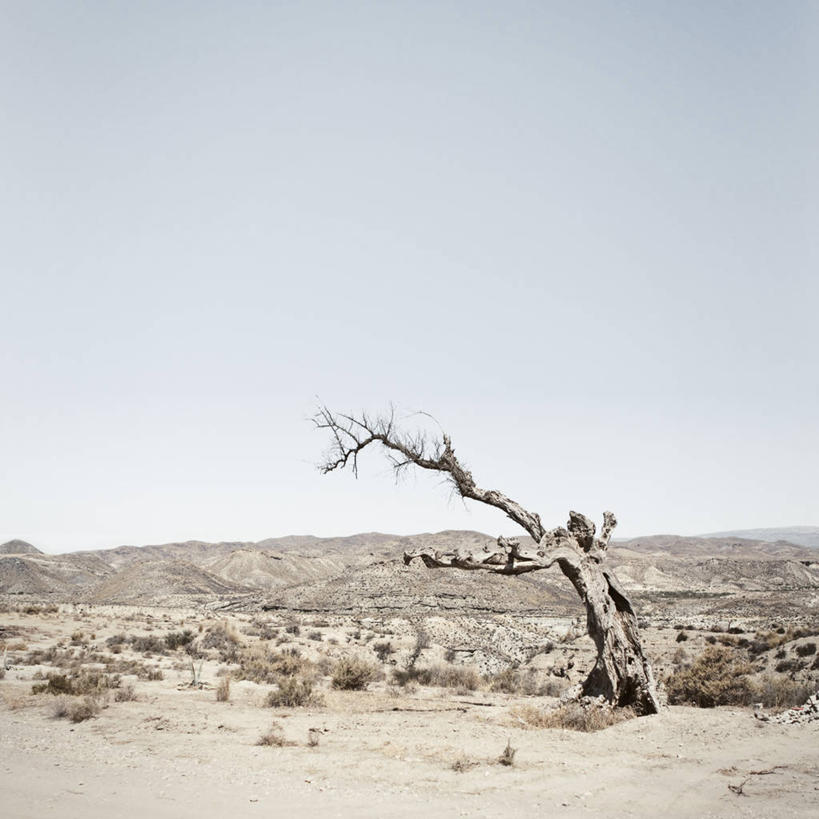 无人,方图,室外,白天,留白,沙漠,植物,西班牙,地平线,地形,辽阔,地面,天气,树,自然,广阔,摄影,宁静,一望无际,脆弱,干旱,延伸,万里无云,天地相交,无边无际,一马平川,虚弱,彩图